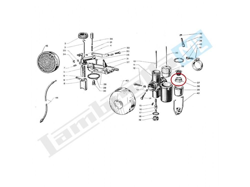 Molla per filtro benzina