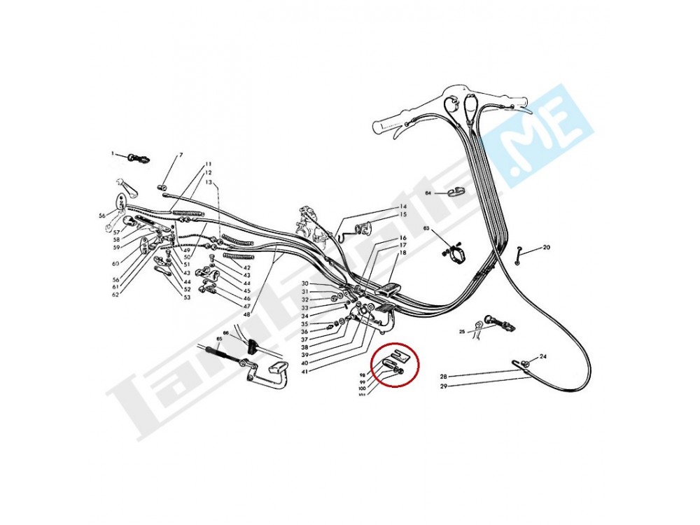 Parafanghino + fig. 99-100-101