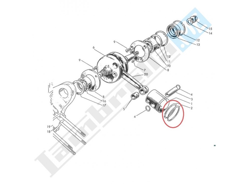 Segmento Pistone Ø std 62x2mm e maggiorazioni