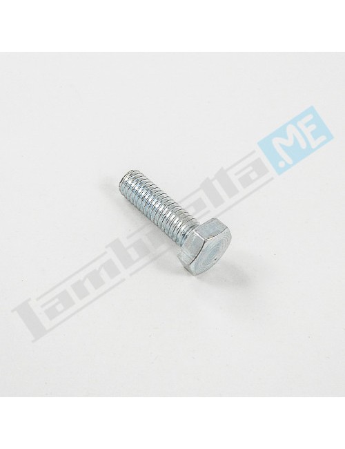 Vite Ø6X20mm