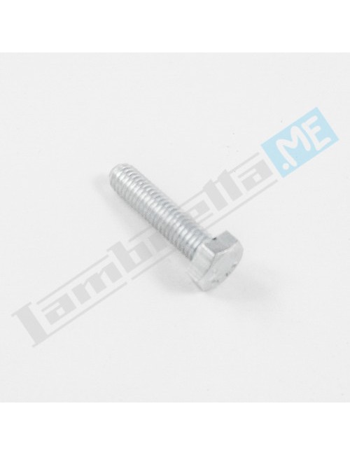 Vite Ø6x30mm chiave 10mm