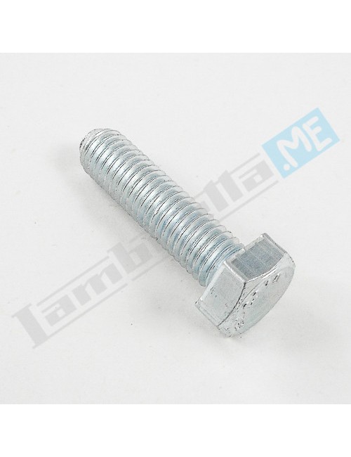 Vite Ø8x25mm chiave 14mm