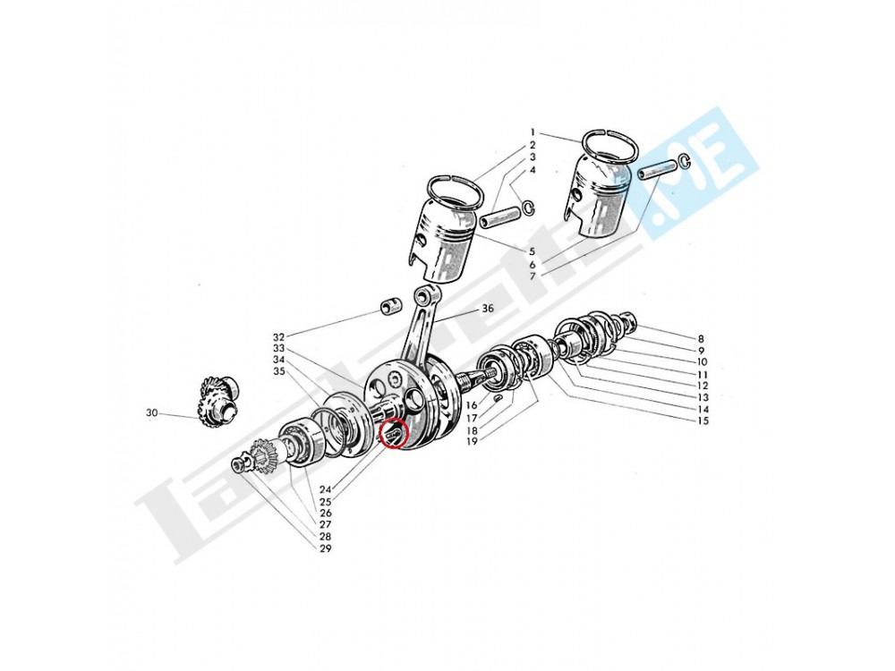 Vite Ø5X14mm