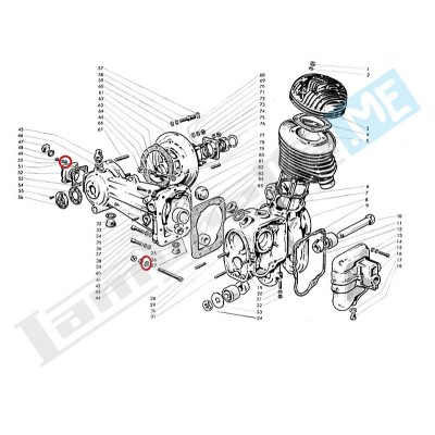 Rondella elastica Ø4mm